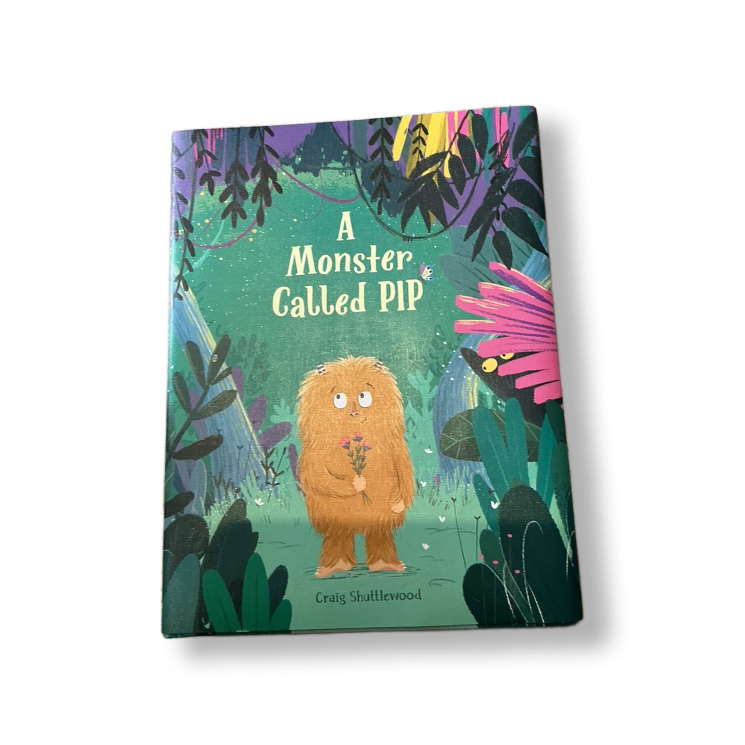A Monster Called Pip book