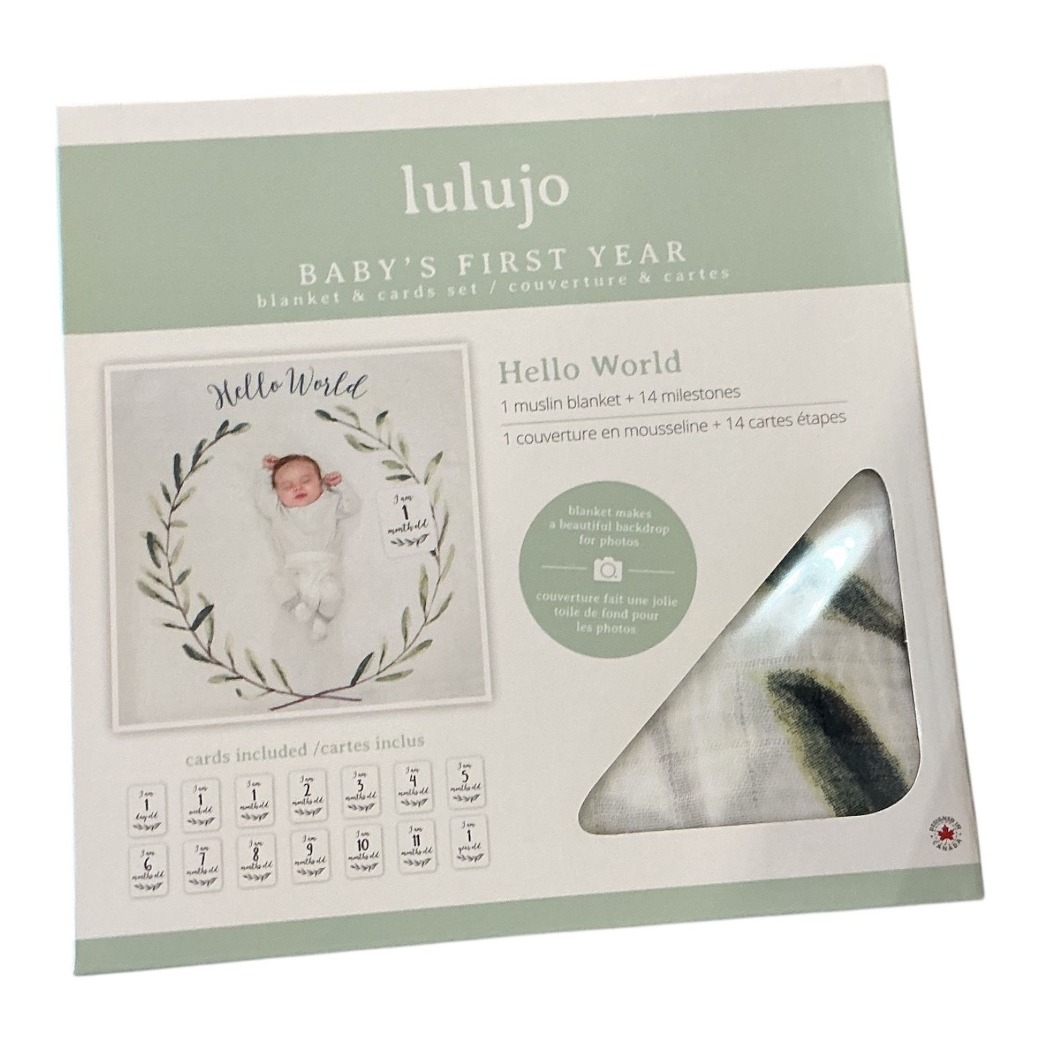 Baby's 1st Year Blanket Hello World