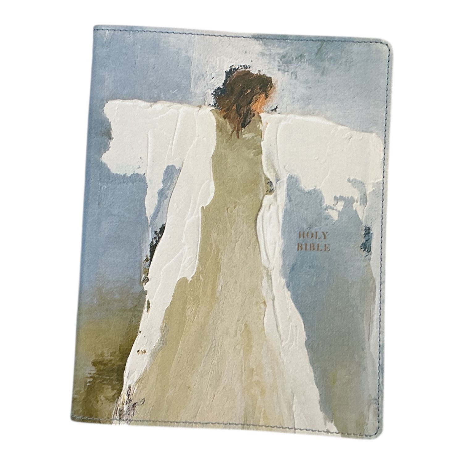 Amp Holy Bible Anne Neilson Blue