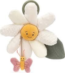fleury white daisy