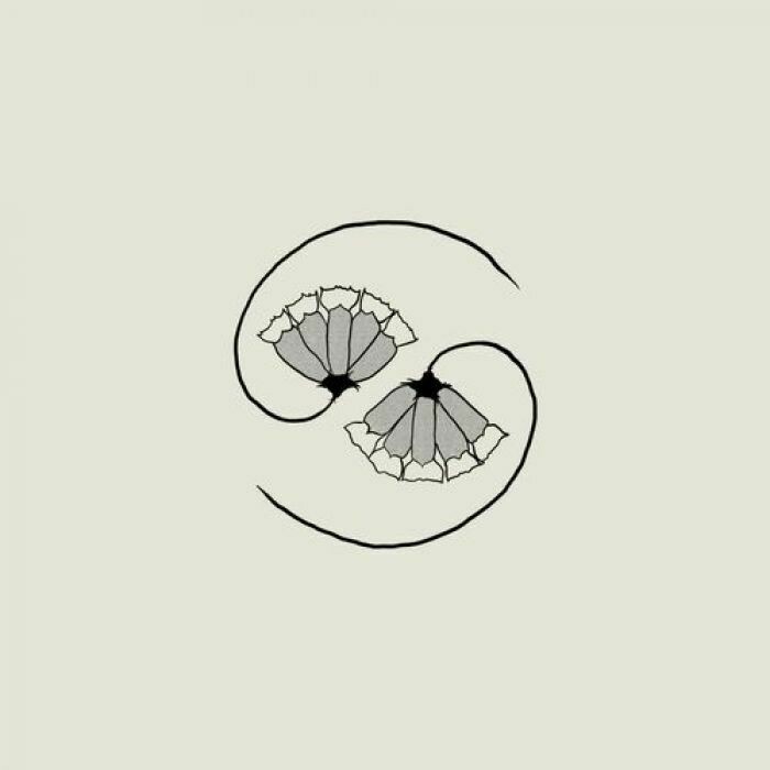 Godspeed You! Black Emperor - G_d's Pee AT STATE'S END!