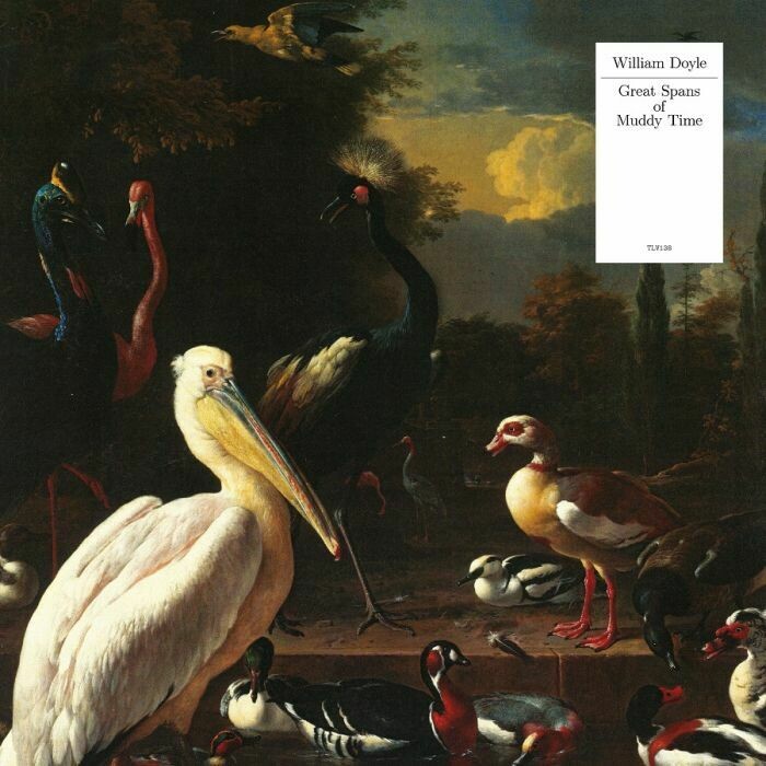 William Doyle - Great Spans of Muddy Time ( Ltd. PELICAN WHITE VINYL)