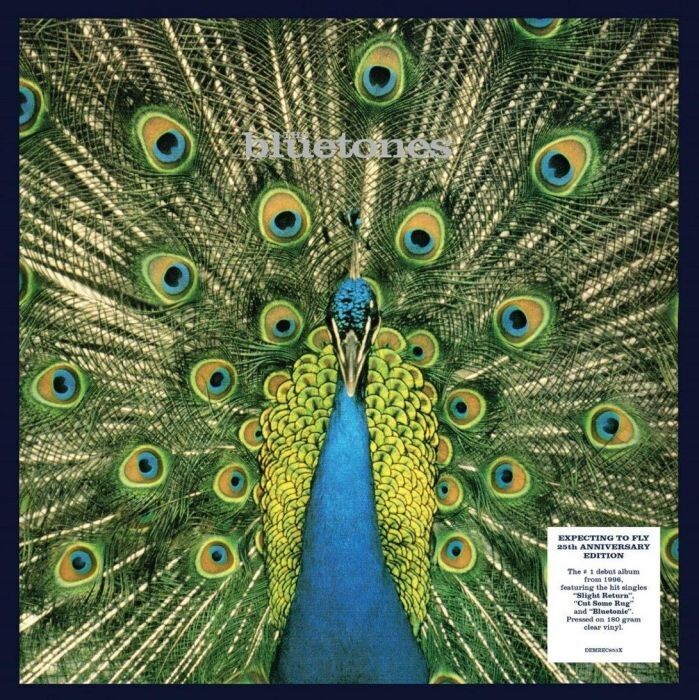The Bluetones - Expecting to Fly (INDIES CLEAR VINYL)