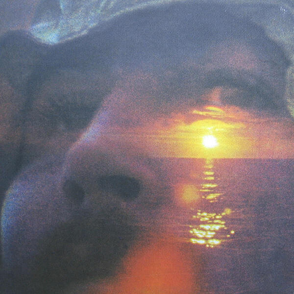 David Crosby ‎– If I Could Only Remember My Name (50th Anniversary)