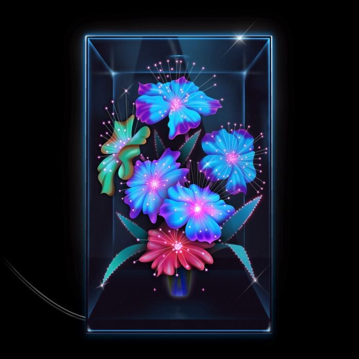 Xenia Rubinos - Una Rosa (National Album Day)