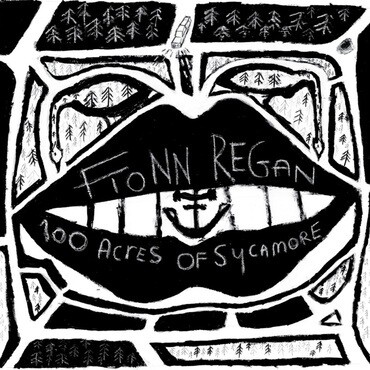 Fionn Regan - 100 Acres Of Sycamore (10th Anniversary  Edition)
