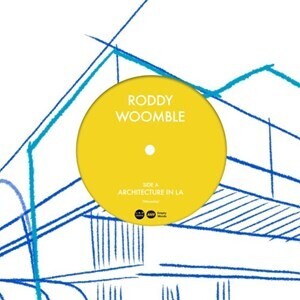 Roddy Woomble - Architecture In LA / Atlantic Photography (RSD22)
