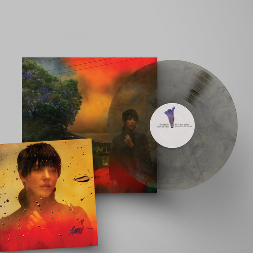 Sharon Van Etten - We've Been Going About This All Wrong (INDIES MARBLE SMOKE VINYL)