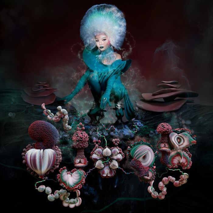 Björk - Fossora [BURGUNDY]