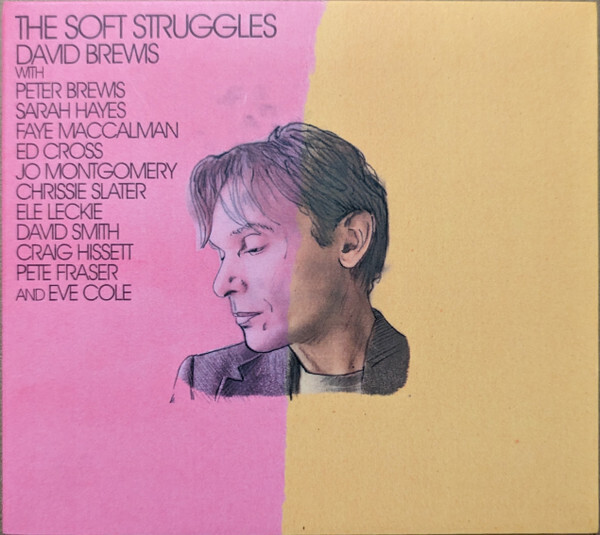 David Brewis - The Soft Struggles
