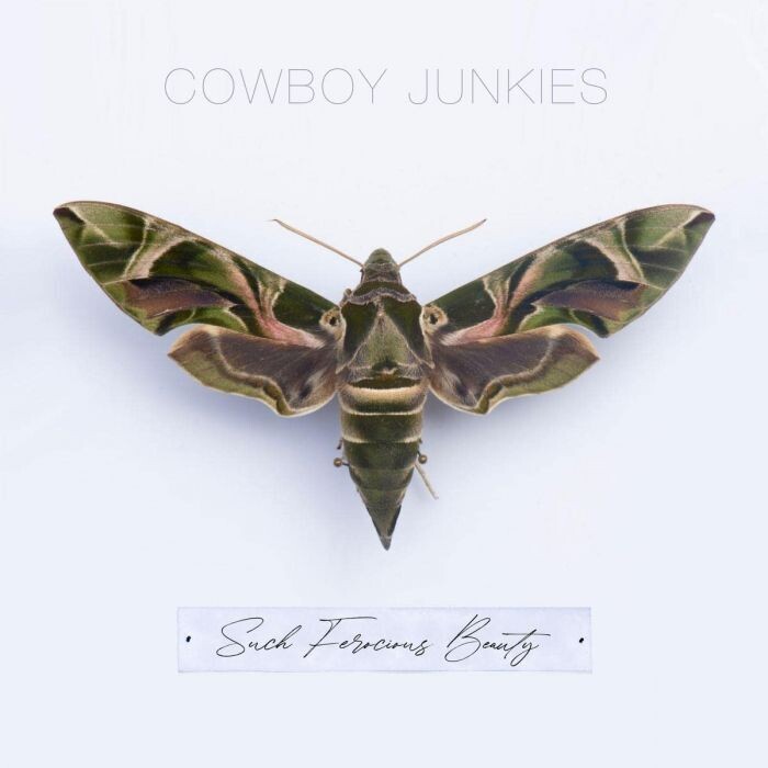 Cowboy Junkies - Such Ferocious Beauty [TRANSLUCENT TAN]