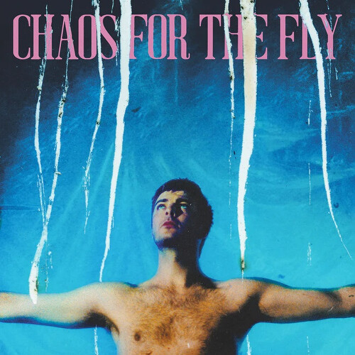 Grian Chatten - Chaos For the Fly (INDIES WHITE)