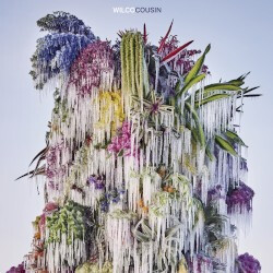 Wilco - Cousin