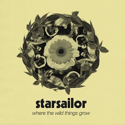 Starsailor - Where the Wild Things Grow [SUNFLOWER]