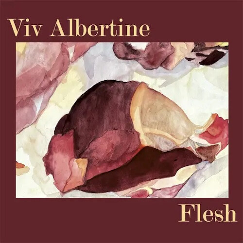 Viv Albertine - Flesh [RSD24]