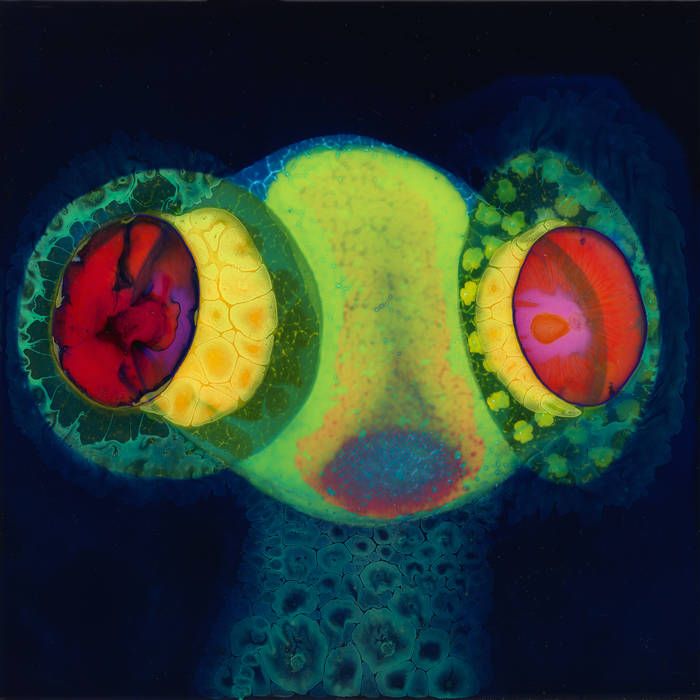 OSEES - SORCS 80