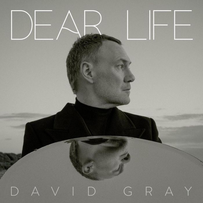 David Gray - Dear Life [SEAWEED GREEN]