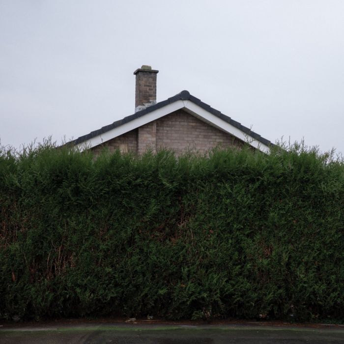 The 1975 - Still ... At Their Very Best (Live From the AO Arena, Manchester, 17.02.24) [WHITE 3 x LP]