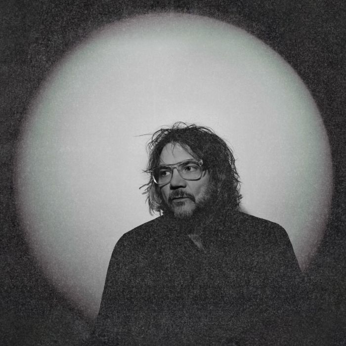Jeff Tweedy - Twilight Override