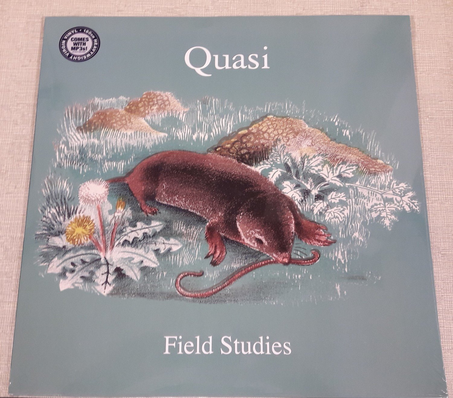 QUASI - 'FIELD STUDIES'