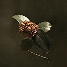 St. Paul & The Broken Bones ‎– Young Sick Camellia