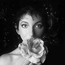 KATE BUSH - Remastered in Vinyl II - Vinyl Box set (SOLD OUT)