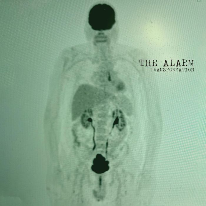 The Alarm - Transformation [GREEN]