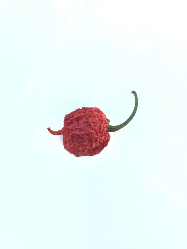 Chone Reaper (dried)