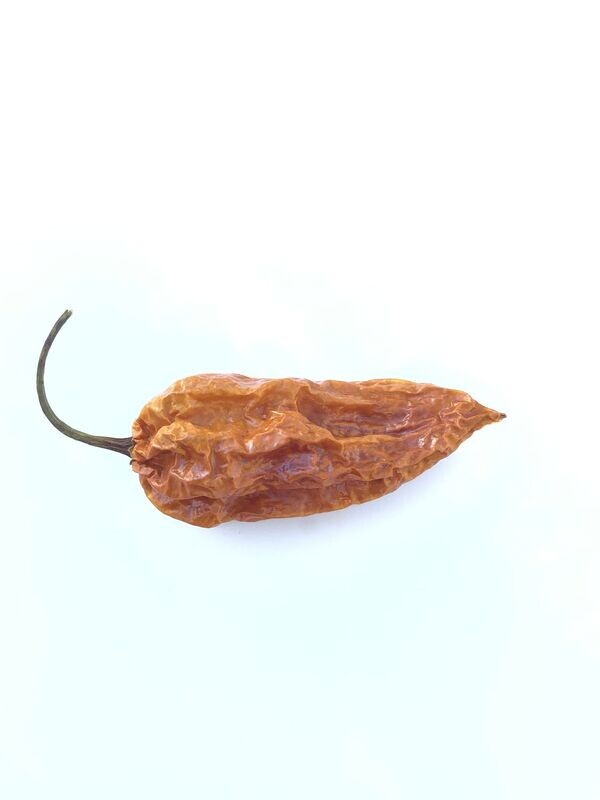 Chone Datil (dried)