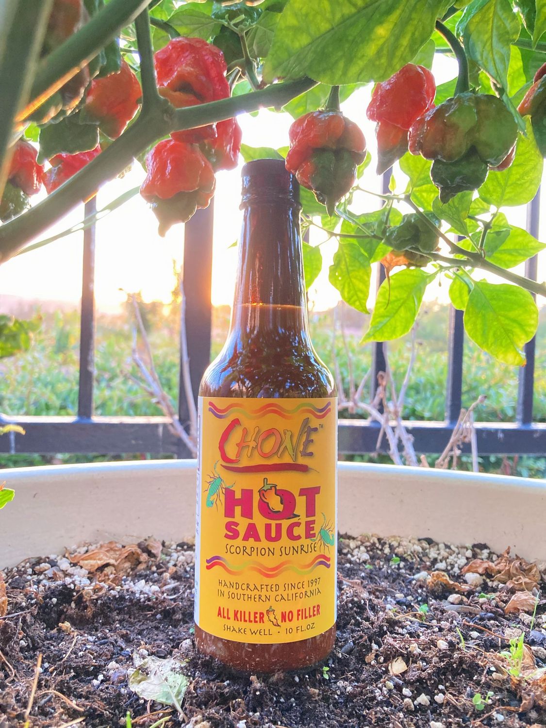 Chone Scorpion Sunrise Seasonal Hot Sauce - 2024, 5 oz