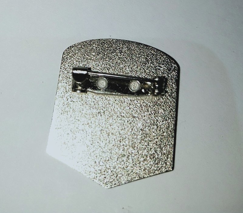2010 Metal Badge (safety pin)