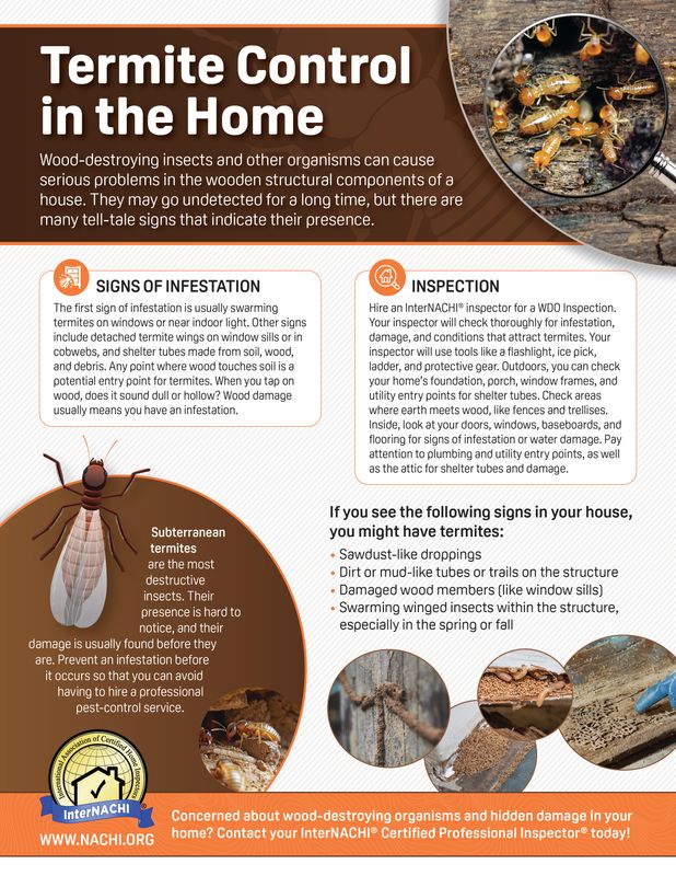 Termite Control In The Home