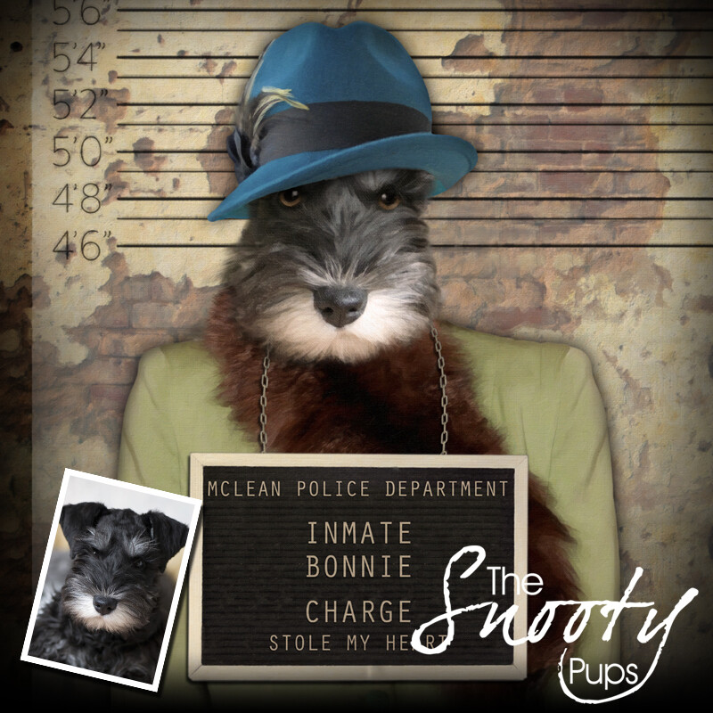 Mobster Dog Portrait - Gangster - Pet portraits in costume