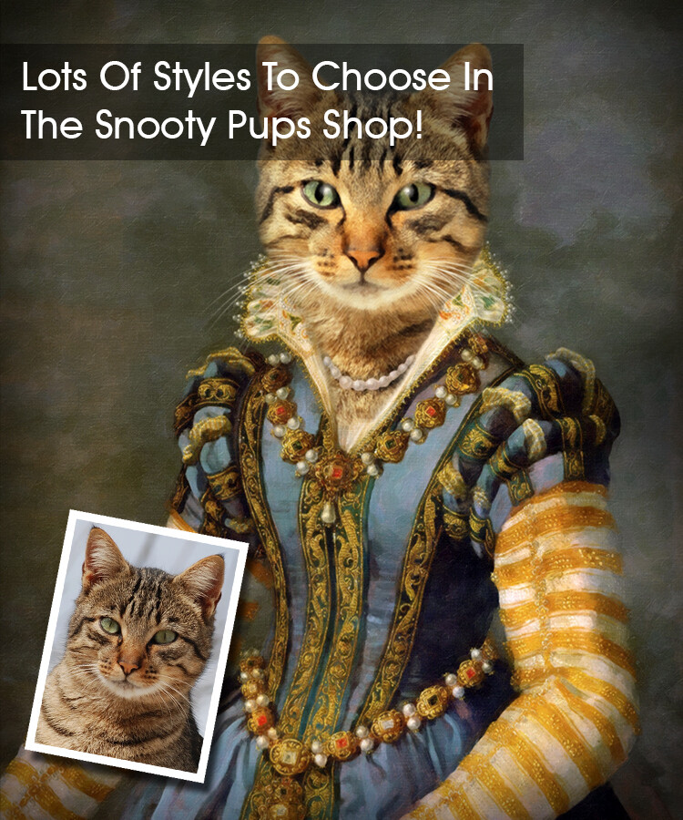 Cat Portrait - Renaissance Lady - Pet portraits in costume