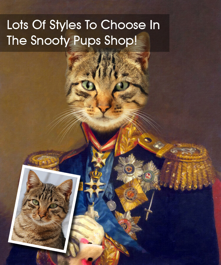 Military Cat Portrait - pet portraits in uniform