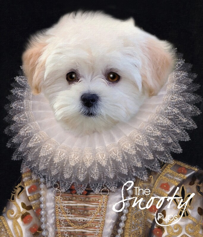 Victorian Dog Portrait - Queen Nola