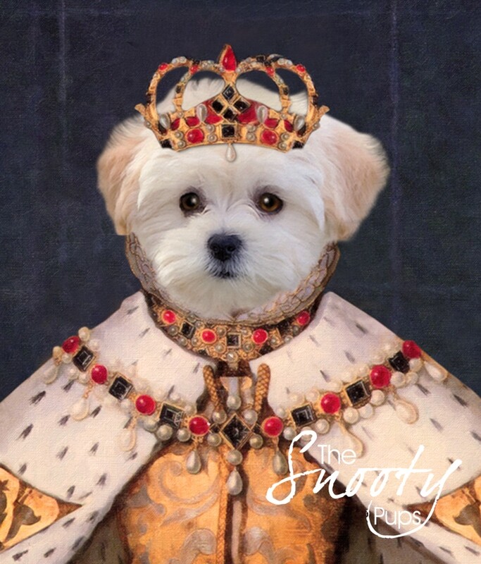 Queen Dog Portrait