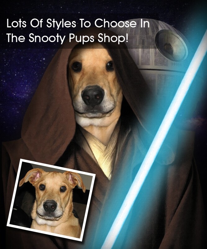Obi-Wan Start Wars - Custom Dog Portrait. - Pet portraits in costume