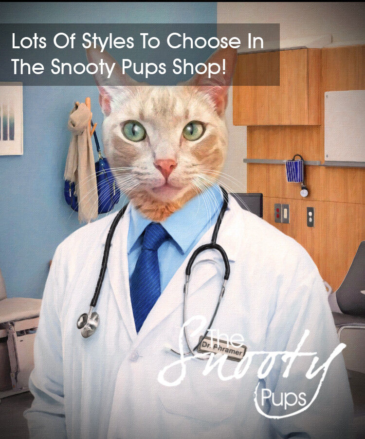 Doctor Cat Portrait - Pet portraits in costume