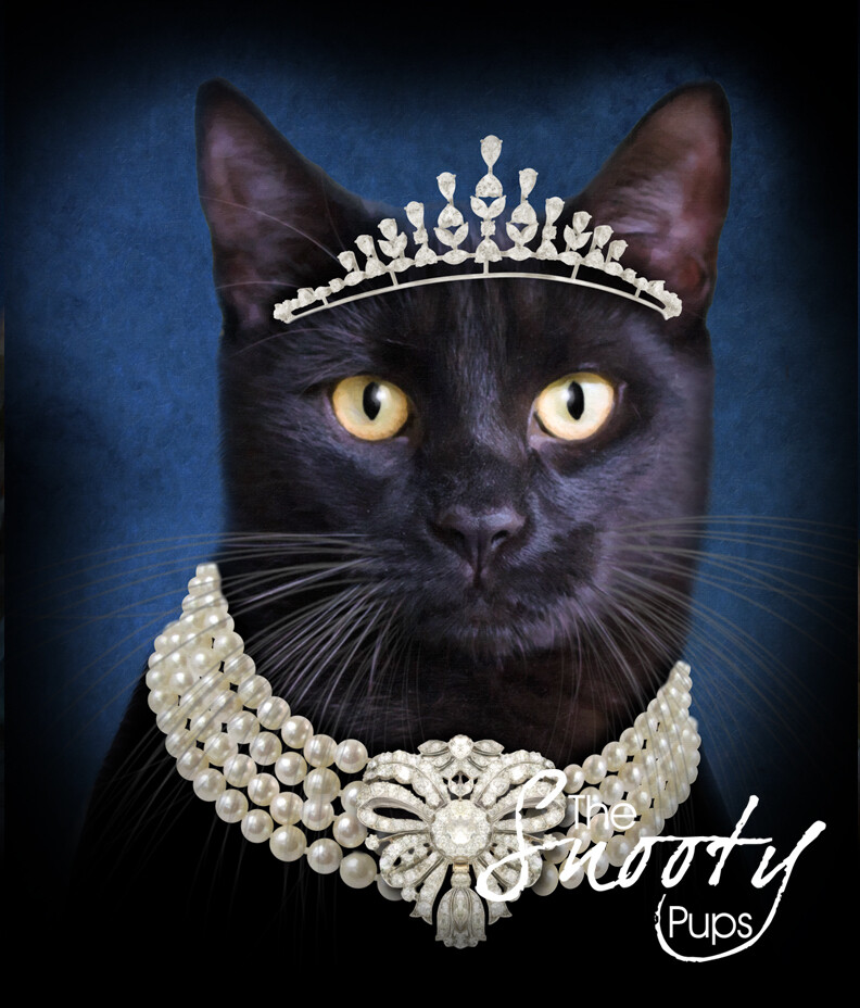 BREAKFAST AT TIFFANY'S Custom Cat Portrait - Pet portraits in costume