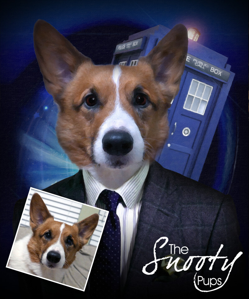 Dr Who Dog Portrait - Pet portraits in costume