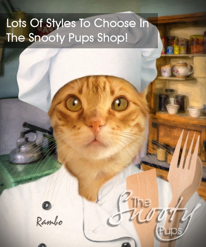 Chef Cat Portrait