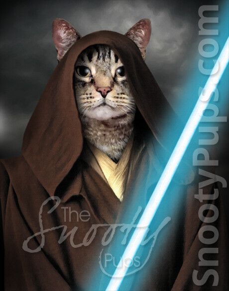 Obi-Wan Start Wars - Jedi Custom Cat Portrait - Pet portraits in costume