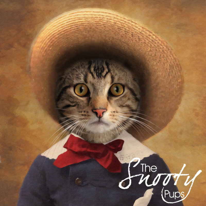 Peasant Boy Custom Cat Portrait the Perfect Gift for the Farmhouse Style Cat Lover - Pet portraits in costume