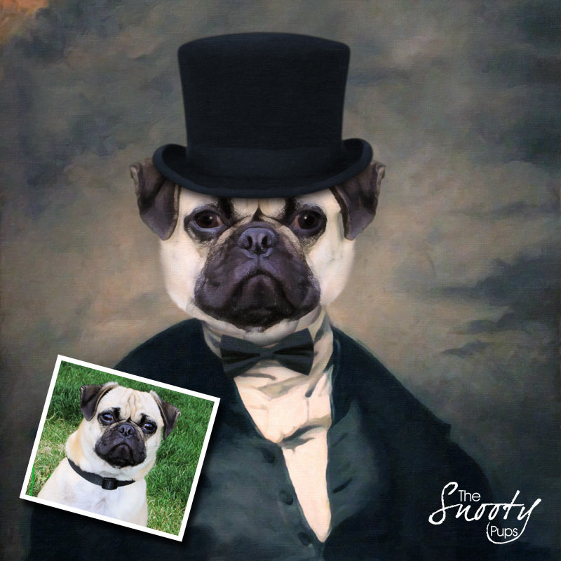 Dog Portrait - Mr Stogy - Pet portraits in costume
