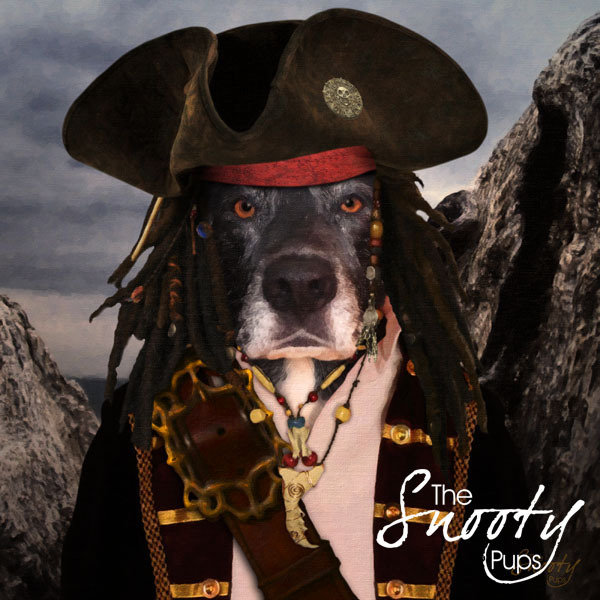 Pirate Dog Portrait - Dog in costume