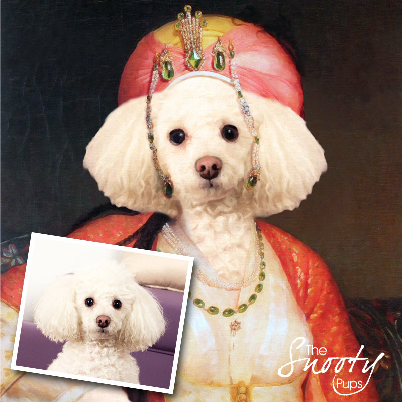Dog Portrait - Mrs Bobbles - Pet portraits in costume