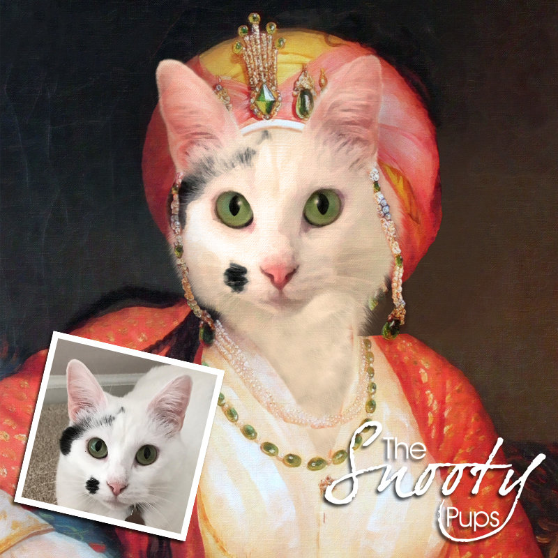 Cat Portrait - Mrs Bobbles - Pet portraits in costume