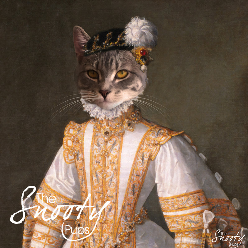 Portrait Cat Portrait - Miss Bell