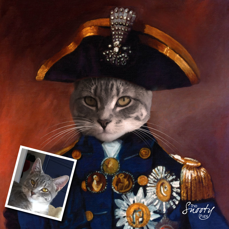 Military Cat Portrait - Sargent - pet portraits in uniform